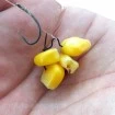 Клипсове за бял червей Carp Zoom Maggot Clips - 20 бр.