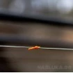 Маркер Ластик Fox Edges Orange Marker Elastic - 10м