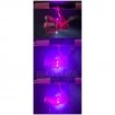 Детски комплект за риболов Kinetic Ramasjang CC Pink - 1.65м 5-24г