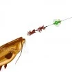 Монтаж за сом с поплавък Madcat Screaming Profi River Rig - Worm & Squid