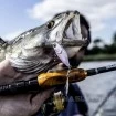 Спинер Quantum 4street Spin-Jig - цвят Baitfish