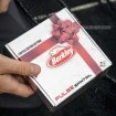 Подаръчен комплект спинери в кутия Berkley Pulse SpinTail
