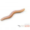 Силиконови примамки Delphin Stinx Worm 4см - 50 бр. - Skiny Shrimp