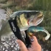 Сет от 5 бр. силиконови шадове Rudie's Hata Fish - 8.9см - цвят 29