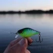 Воблер за кефал, костур и пъстърва Berkley Pulse Fry Shallow - Fegis