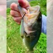 Suspending воблер Duel L-Bass Jerkbait 80SP 80мм 9.5г, цвят HWS