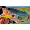 Suspending воблер Duel L-Bass Jerkbait 80SP 80мм 9.5г, цвят HWS