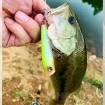 Воблер-попер Duel L-Bass Popper F 65мм 6г, цвят MGGB