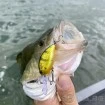 Плаващ воблер Quantum Qcrank Fat Minnow SR 4см 4г - Sand Goby
