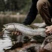 Бавнопотъващ воблер Rapala X-Light Minnow 05, 5см 4г, цвят AYU