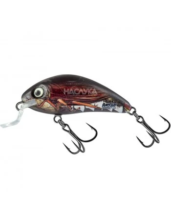 Плуващ воблер Salmo Rattlin Hornet Shallow - цвят RLC