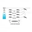 Плаващ воблер Yo-Zuri Crystal Minnow F 70мм/5г, цвят HBGS