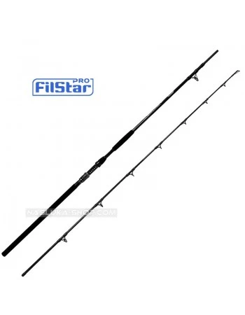 Въдица за сом FilStar Cat Master - 2.90м 500г