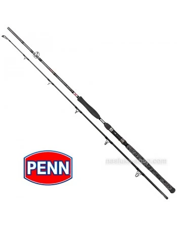 Въдица за риболов на сом Penn Legion Cat Power Allround Silver 2.70м 200-400г