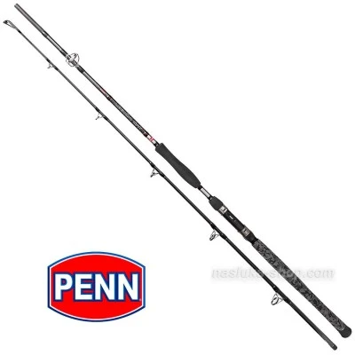 Въдица за риболов на сом Penn Legion Cat Power Allround Silver 2.70м 200-400г