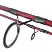 Шаранска въдица Delphin Etna E3 3.60м 3.25lb - 2 части