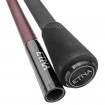 Шаранска въдица Delphin Etna E3 3.60м 3.25lb - 2 части