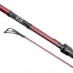 Шаранска въдица Delphin Etna E3 3.60м 3.00lb - 2 части