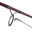 Шаранска въдица Delphin Etna E3 3.60м 3.00lb - 2 части