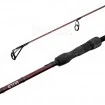 Шаранска въдица Delphin Etna Legend4ry 3.60м, 3.0lb, 2 части