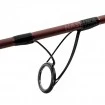 Шаранска въдица Delphin Etna Legend4ry 3.60м, 3.0lb, 2 части