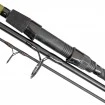 Шаранска  въдица Delphin Partisan 3.60м 3.50lb - 3 части