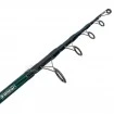 Шаранска въдица FilStar Arex Tele Carp 3.60м