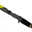 Въдица за риболов на сом Black Cat Perfect Passion AllStar - 2.20м 30-130г