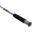 Въдица Mikado Ultraviolet II Pilk 2.70м 170г