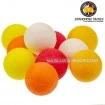 Плаващи изкуствени топчета за шаран Enterprise Immortal Range 10mm Boilies - Mixed Colours