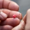 Балансирани дъмбели Sonubaits Micro Band'Um Wafter, Fluoro
