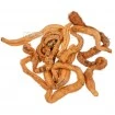 Изсушени морски червеи Alot Fish Blood Worms