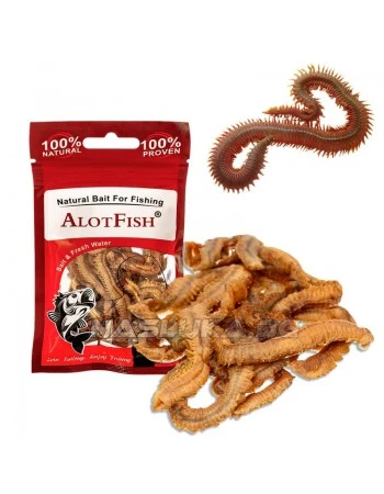 Изсушени морски червеи Alot Fish Red Worms