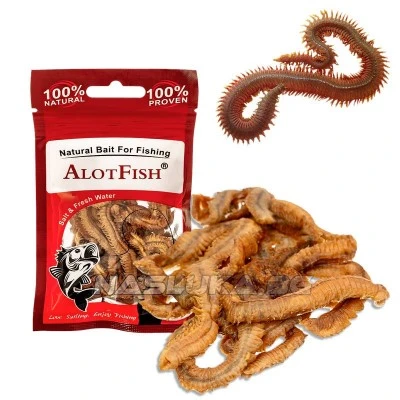 Изсушени морски червеи Alot Fish Red Worms