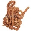 Изсушени морски червеи Alot Fish Red Worms