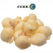 Пуканки за риболов Cukk - Натурални