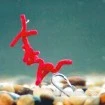 Изкуствен вердевас Enterprise Bloodworm