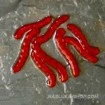 Изкуствен вердевас Enterprise Bloodworm