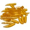 Силиконови бели червеи Filex Maggots - цвят FF03 Perla
