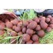 Протеинови топчета StarBaits Probiotic The Red One 20мм