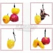Пуканки Carp Zoom Natural Corn Floaters