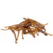 Изкуствен земен червей Lepis Soft Worm
