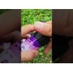 Топ модел PVA продукти за Риболов на шаран, FishPro PVA Mesh Classic  - Супер качество