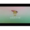 Jerk воблер Westin Swim Glidebait - Sinking - 12см 58г - Oficial Roach