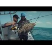 Макара за морски риболов Penn Spinfisher VI 6500