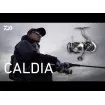 Макара Daiwa 25 Caldia LT 3000 - спининг макара с преден аванс