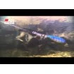 Клатушка Abu Garcia Toby Salmo 30г, цвят G/Green Glitter