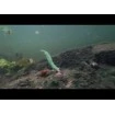 Силиконови примамки Fanatik X-Larva 5.1 см - 8 броя в опаковка