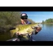 Потъващ воблер Yo-Zuri Crystal Minnow F 90мм 7.5г, цвят HCL