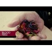 Силиконови примамки Westin Bloodteez 7.5 см - 6 броя в опаковка